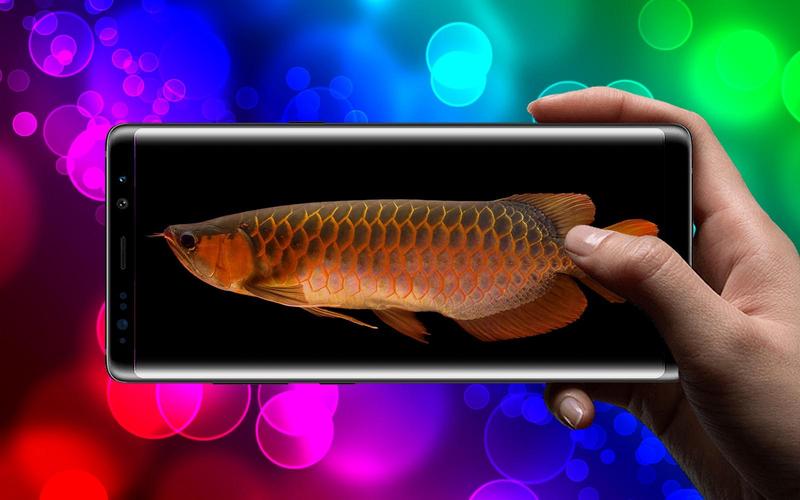 無料で New Arowana 3d Live Wallpaper アプリの最新版 Apk1 0をダウンロードー Android用 New Arowana 3d Live Wallpaper Apk の最新バージョンをダウンロード Apkfab Com Jp