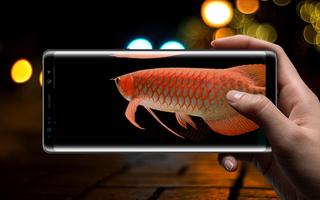 New Arowana 3D Live Wallpaper plakat