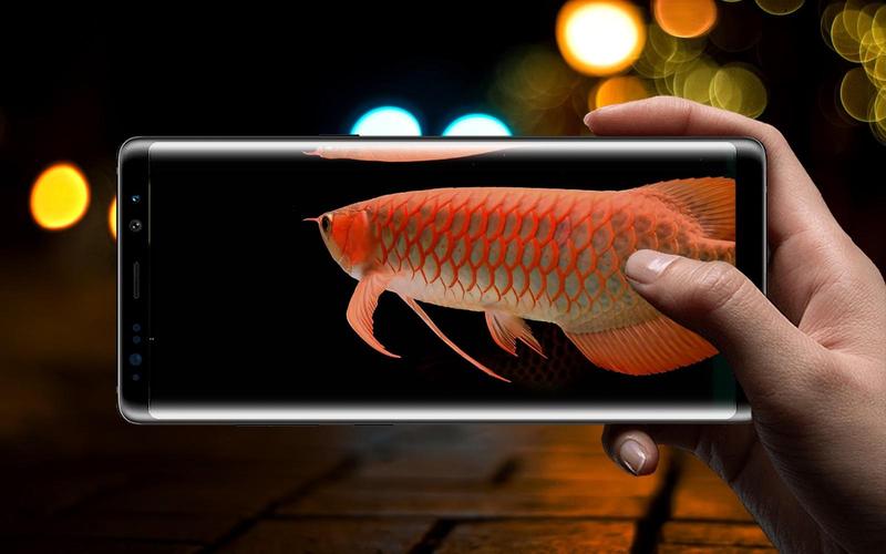 無料で New Arowana 3d Live Wallpaper アプリの最新版 Apk1 0をダウンロードー Android用 New Arowana 3d Live Wallpaper Apk の最新バージョンをダウンロード Apkfab Com Jp