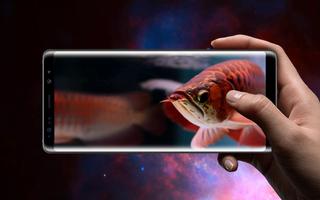 Lovely Arowana LiveWallpaper screenshot 2