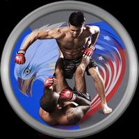 MMA Training and Fitness Free capture d'écran 3