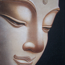 APK Kinh Truong Bo - Phat Phap