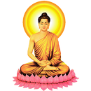 APK Phat Hoc Pho Thong