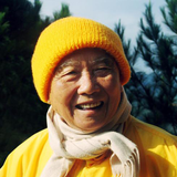 Thích Thanh Từ ícone