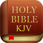 KJV Audio Bible Free App icône