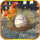 Cassez l'œuf élevage poulets APK