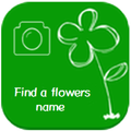 Find a flowers name (photo)