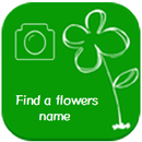 Find a flowers name (photo) APK