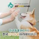 반려동물관리사-반려동물자격증,반려동물교정사,반려동물장례지도사 APK