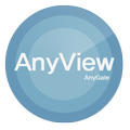 AnyView