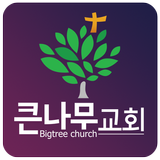 큰나무교회 иконка