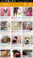 바이펫(강아지/고양이,포메라니안,유기견,애견용품,교배) syot layar 2