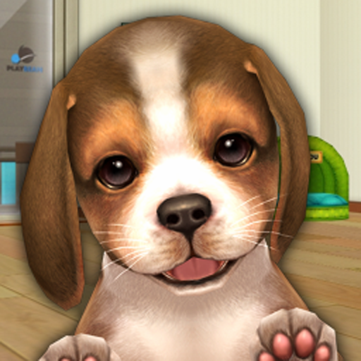 MyDogs