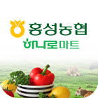 홍성농협하나로마트 ikon