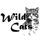 Wild Cats : 대한민국 '비'공식 취미생활 연구소 APK