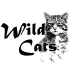 Wild Cats : 대한민국 '비'공식 취미생활 연구소 icône