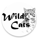 Wild Cats 푸시 앱 aplikacja