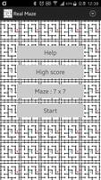 Real Maze Plakat