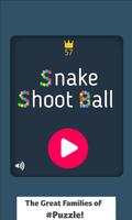 Snake Shoot Ball Affiche