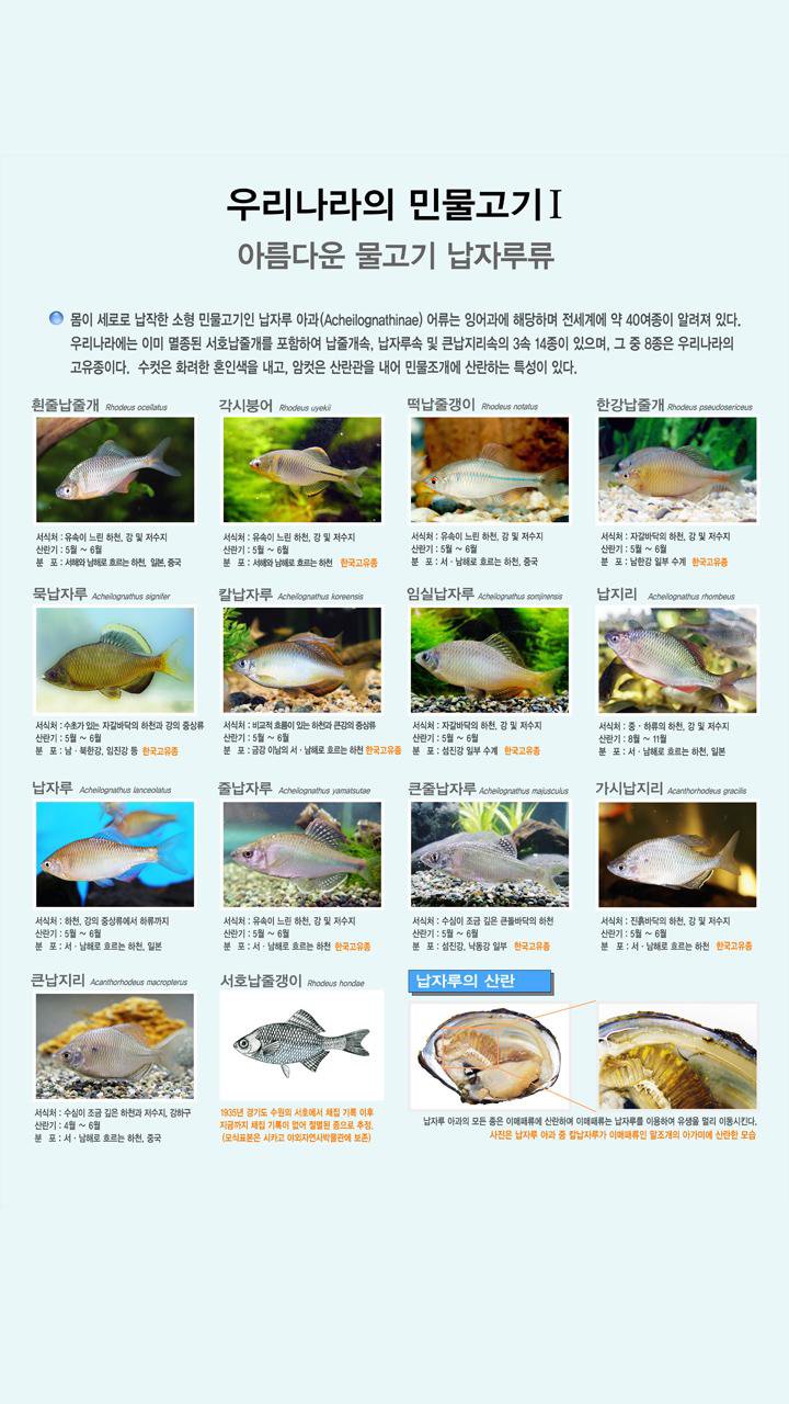 한국담수어종도감 APK for Android Download, image size:720x1280