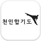 Icona 천인합기도