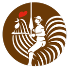 돈치킨 원페이지 icon