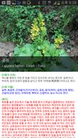 한국의식물 capture d'écran 2