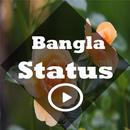 Bangla New Videos Status APP 2018 ( বাংলা স্টেটাস) APK