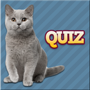 Cats Quiz-APK