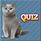 Cats Quiz icône