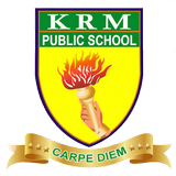 KRM PUBLIC SCHOOL PERAMBUR icono