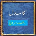 Kasa e Dil Novel Free Urdu Novel icône