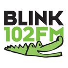 Rádio Blink 102 FM icône