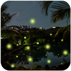 Fireflies Live Wallpapers 圖標