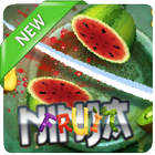 New Guide Fruit Ninja आइकन