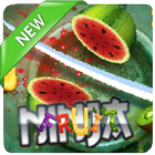 New Guide Fruit Ninja icon