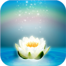 Calm & Happy APK