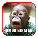 Humor Binatang - Cerita Lucu aplikacja