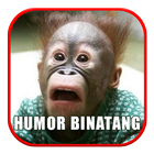 Humor Binatang - Cerita Lucu ไอคอน