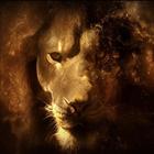 Lion King HD Live Free LWP icône