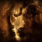 Lion King HD Live Wallpaper Zeichen