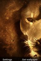 Lion King HD Live Free LWP Affiche