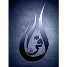 Quran Diary আইকন