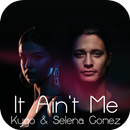 It Ain’t Me - Kygo & Selena Gomez Song & Lyrics APK