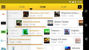 TV Интернет Дома screenshot 3