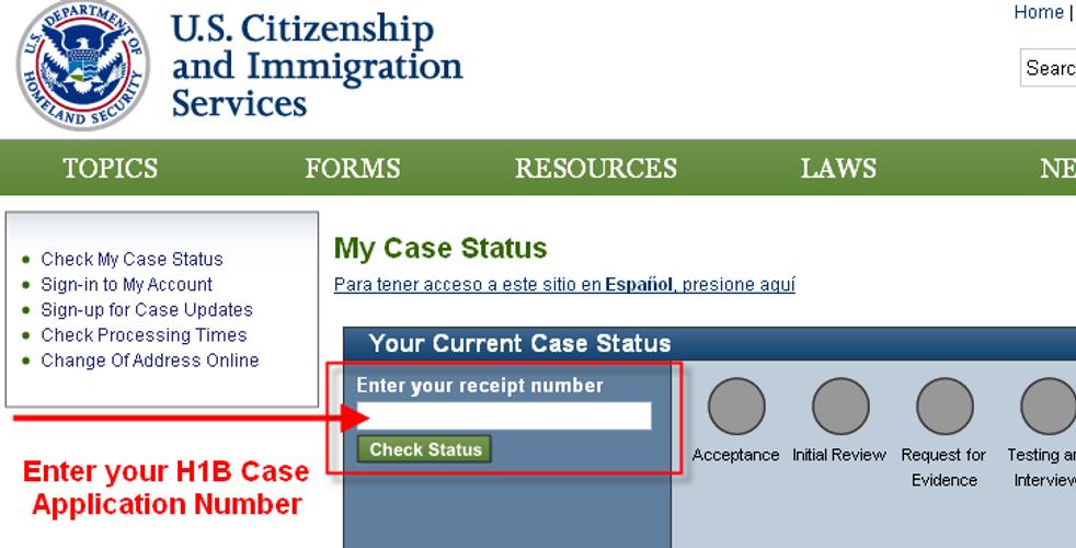 Topic form. Check status. B1 status visa. Enter status check Russian.