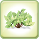 Green Solution Group APK