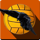 El Cuervo Water Polo APK