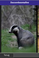 2 Schermata Natuurmonumenten Bergherbos