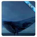 the Bigest blue whale APK